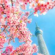 ヒメ日記 2025/03/14 14:02 投稿 美香 上野人妻城