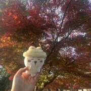 ヒメ日記 2025/11/25 10:45 投稿 美香 上野人妻城