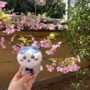 ヒメ日記 2026/03/02 10:56 投稿 美香 上野人妻城