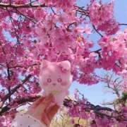 ヒメ日記 2026/03/23 16:46 投稿 美香 上野人妻城