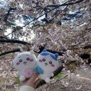 ヒメ日記 2026/04/03 06:25 投稿 美香 上野人妻城