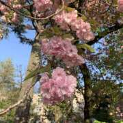 ヒメ日記 2026/04/12 21:37 投稿 美香 上野人妻城