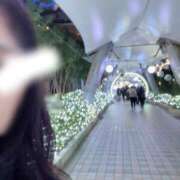 ヒメ日記 2024/12/13 12:34 投稿 あこ シェリーエンジェル