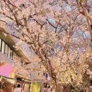 ヒメ日記 2025/04/11 21:07 投稿 井原　りりあ SM東京　新宿店