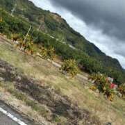 ヒメ日記 2025/11/05 10:58 投稿 リオナ OPELA（オペラ）