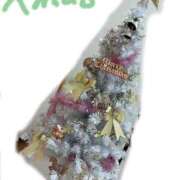 ヒメ日記 2025/12/04 15:48 投稿 リオナ OPELA（オペラ）