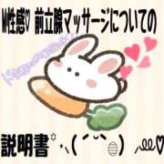 ヒメ日記 2025/01/09 15:31 投稿 るい《前立腺OP》 山梨甲府甲斐ちゃんこ