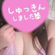 ヒメ日記 2025/02/08 14:01 投稿 るい《前立腺OP》 山梨甲府甲斐ちゃんこ