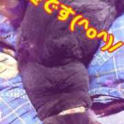 ヒメ日記 2025/02/13 23:18 投稿 るい《前立腺OP》 山梨甲府甲斐ちゃんこ