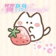 ヒメ日記 2025/03/02 16:33 投稿 るい《前立腺OP》 山梨甲府甲斐ちゃんこ