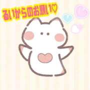 ヒメ日記 2025/03/03 16:01 投稿 るい《前立腺OP》 山梨甲府甲斐ちゃんこ