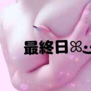 ヒメ日記 2025/03/09 13:51 投稿 るい《前立腺OP》 山梨甲府甲斐ちゃんこ