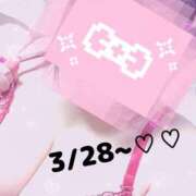 ヒメ日記 2025/03/26 15:02 投稿 るい《前立腺OP》 山梨甲府甲斐ちゃんこ