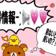ヒメ日記 2025/05/27 13:01 投稿 るい《前立腺OP》 山梨甲府甲斐ちゃんこ