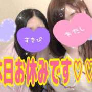 ヒメ日記 2025/07/02 12:28 投稿 るい《前立腺OP》 山梨甲府甲斐ちゃんこ