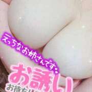 ヒメ日記 2025/07/05 12:06 投稿 るい《前立腺OP》 山梨甲府甲斐ちゃんこ