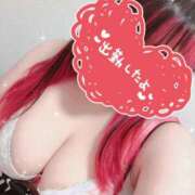 ヒメ日記 2025/07/06 14:48 投稿 るい《前立腺OP》 山梨甲府甲斐ちゃんこ