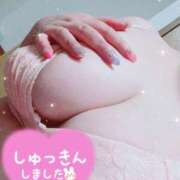 ヒメ日記 2025/07/25 15:25 投稿 るい《前立腺OP》 山梨甲府甲斐ちゃんこ