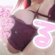 ヒメ日記 2025/09/29 15:42 投稿 るい《前立腺OP》 山梨甲府甲斐ちゃんこ