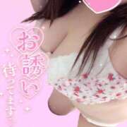 ヒメ日記 2025/10/11 12:06 投稿 るい《前立腺OP》 山梨甲府甲斐ちゃんこ