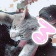 ヒメ日記 2025/10/14 12:29 投稿 るい《前立腺OP》 山梨甲府甲斐ちゃんこ