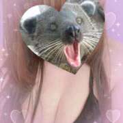 ヒメ日記 2026/03/09 14:21 投稿 るい《前立腺OP》 山梨甲府甲斐ちゃんこ