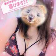 ヒメ日記 2026/03/30 13:55 投稿 るい《前立腺OP》 山梨甲府甲斐ちゃんこ