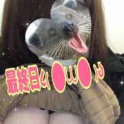 るい《前立腺OP》 最終日🔥 山梨甲府甲斐ちゃんこ