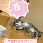 ヒメ日記 2026/08/25 17:16 投稿 るい《前立腺OP》 山梨甲府甲斐ちゃんこ