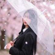 ヒメ日記 2026/03/17 20:29 投稿 愛沢　ありす SM東京　新宿店