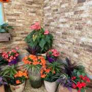 ヒメ日記 2026/04/09 13:12 投稿 りこ☆ 豊橋豊川ちゃんこ