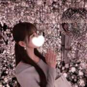 ヒメ日記 2026/04/14 12:01 投稿 円（まどか） 男爵