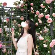 ヒメ日記 2026/05/20 17:40 投稿 円（まどか） 男爵