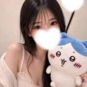 円（まどか） まどかっち、起きました🐱 男爵