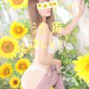 ヒメ日記 2025/06/17 12:50 投稿 れい 渋谷角海老