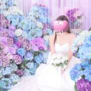 ヒメ日記 2025/06/18 07:50 投稿 れい 渋谷角海老