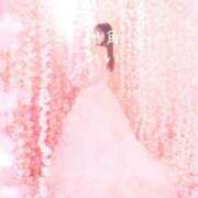 ヒメ日記 2025/06/29 18:10 投稿 れい 渋谷角海老