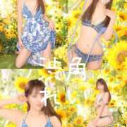 ヒメ日記 2025/08/19 10:35 投稿 れい 渋谷角海老