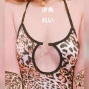 ヒメ日記 2025/10/31 22:29 投稿 れい 渋谷角海老