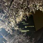 ヒメ日記 2026/04/11 02:33 投稿 なつき 新宿本店 ぽちゃカワ女子専門店