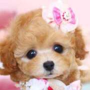 ヒメ日記 2025/03/08 11:55 投稿 ミサト★癒しエロスな人妻タイプ BITEKI