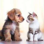 ヒメ日記 2026/02/24 18:30 投稿 ミサト★癒しエロスな人妻タイプ BITEKI