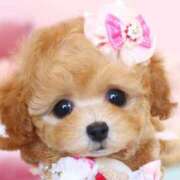 ヒメ日記 2026/02/26 16:44 投稿 ミサト★癒しエロスな人妻タイプ BITEKI