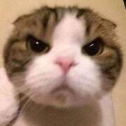 ヒメ日記 2025/11/09 16:52 投稿 おんぷ 萌えカワ