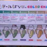 ヒメ日記 2026/10/10 09:22 投稿 おんぷ 萌えカワ