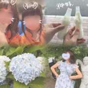 ヒメ日記 2026/07/01 08:44 投稿 むぎ 百花繚乱（薬研堀）