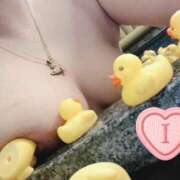 いろは 本日18:00~ 京都デリヘル倶楽部FIRST