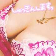 ヒメ日記 2026/04/08 15:04 投稿 いろは 京都デリヘル倶楽部FIRST