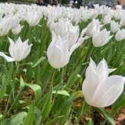 ヒメ日記 2025/06/15 08:26 投稿 るか ニュー不夜城