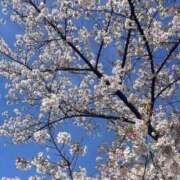 ヒメ日記 2026/04/03 21:56 投稿 るか ニュー不夜城